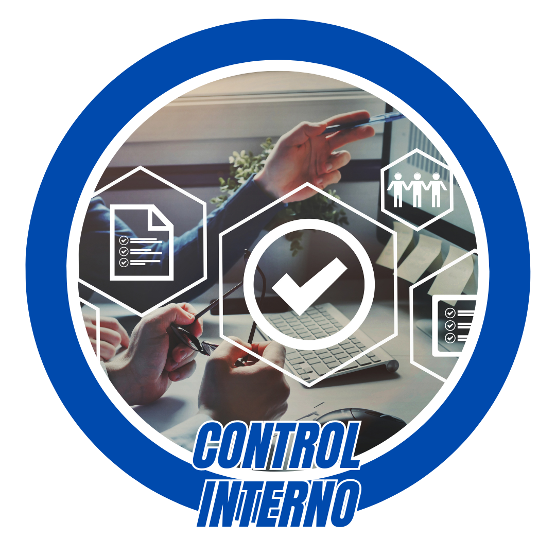 img-control-interno